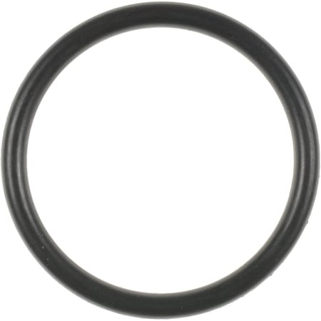 Reinz Cool Thermostat Gskt, 71-13586-00 71-13586-00